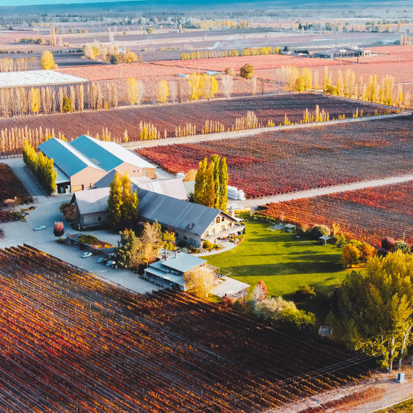 Aniversario Susana Balbo: celebrando una historia de coraje, innovación y excelencia en el vino argentino
