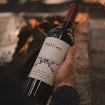 El ritual del fuego: recetas de carnes y técnicas para honrar un Malbec de Gualtallary