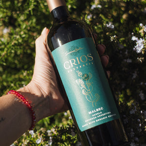 Malbec en clave verde: recetas vegetarianas con carácter que piden una copa