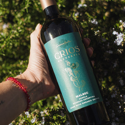 Malbec en clave verde: recetas vegetarianas con carácter que piden una copa