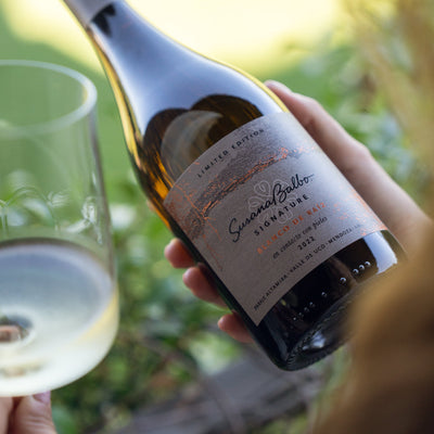 Orange wine: ¿Qué es el vino naranjo?