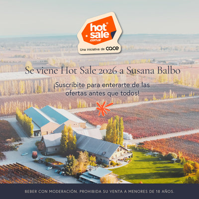 Hot Sale 2026: estrategias para maximizar el evento