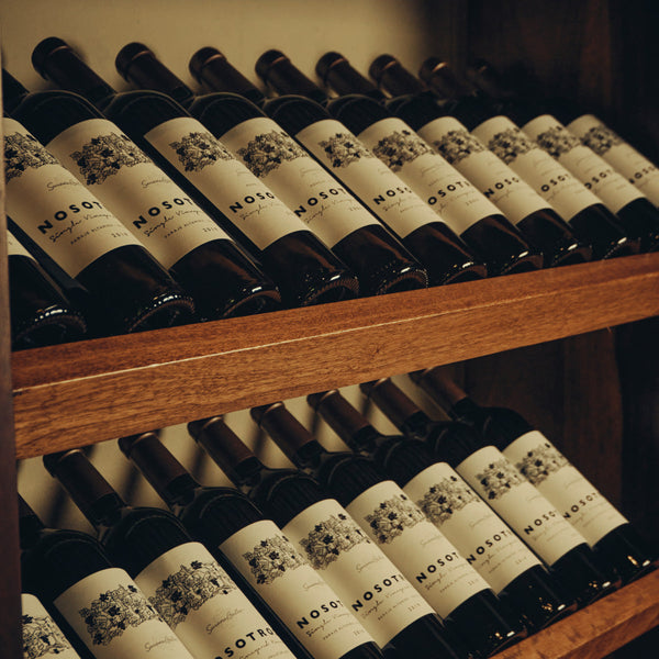 El Malbec que tenés guardado podría ser un tesoro: guía para añejar vinos en casa