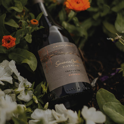 No todo Torrontés es igual: Guía para entender sus nuevos y fascinantes estilos