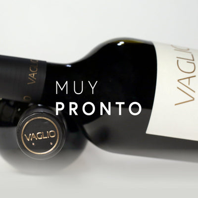 El director y el autor: la doble faceta de José Lovaglio Balbo