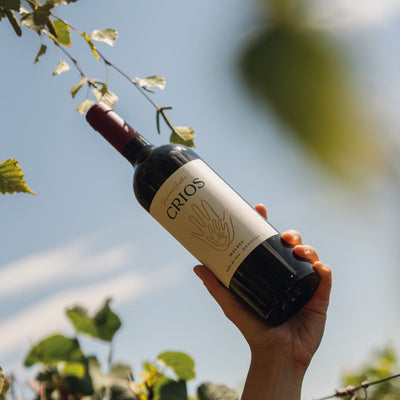 Maridaje con Malbec: recetas para la cocina de hogar