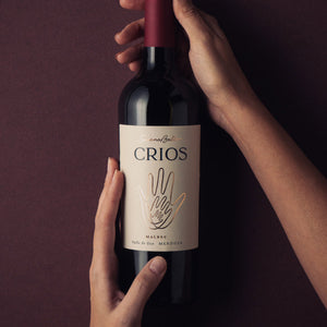 La cocina que abraza: recetas de comidas caseras que maridan con Malbec