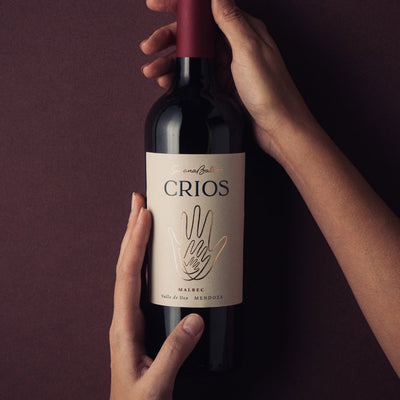 La cocina que abraza: recetas de comidas caseras que maridan con Malbec