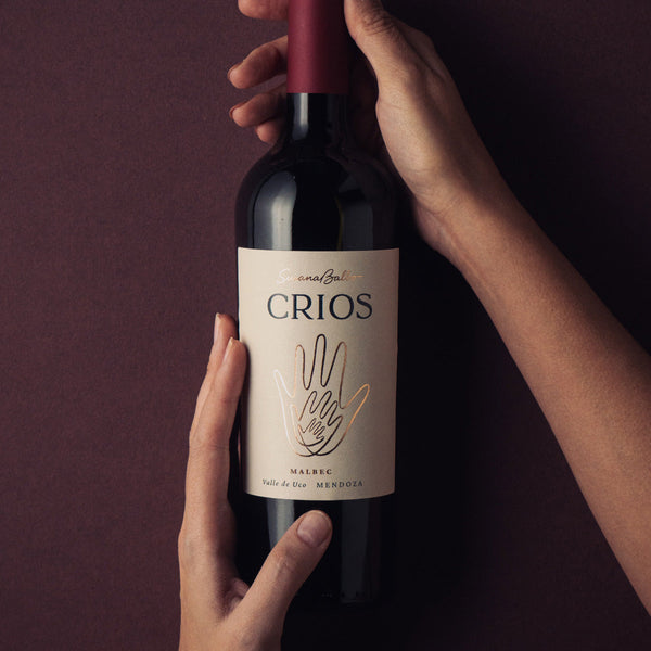 La cocina que abraza: recetas de comidas caseras que maridan con Malbec