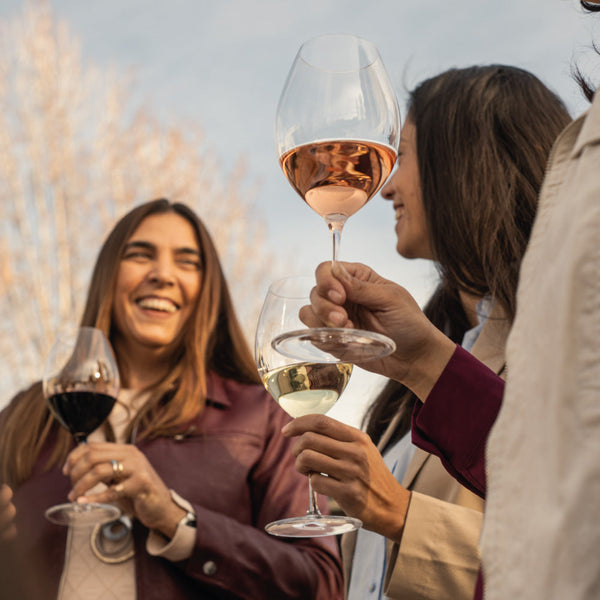 El arte de compartir: una guía de vinos para celebrar la amistad