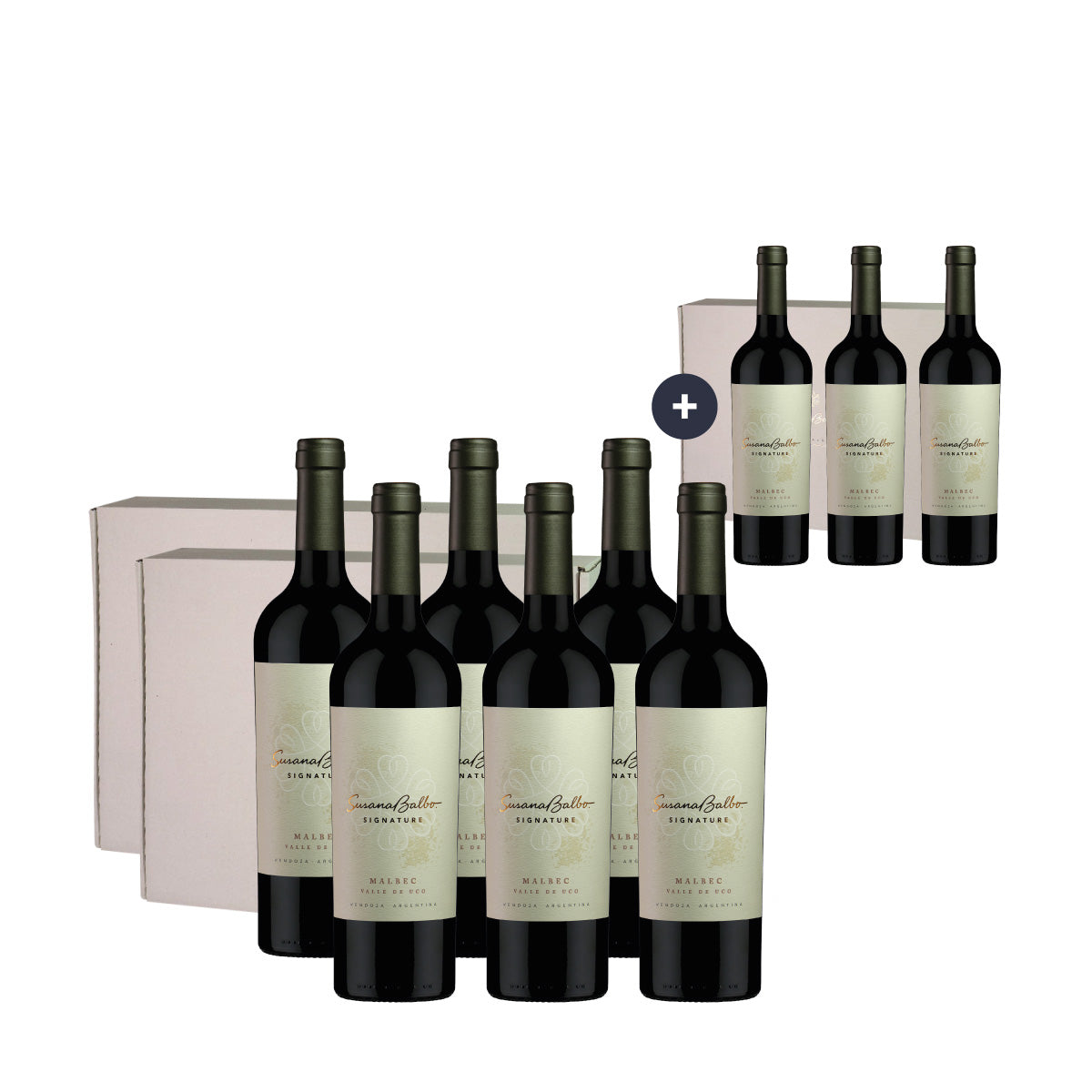 3 x 2 Estuche Susana Balbo Signature Malbec