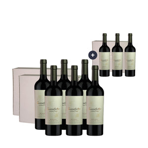 3 x 2 Estuche Susana Balbo Signature Malbec