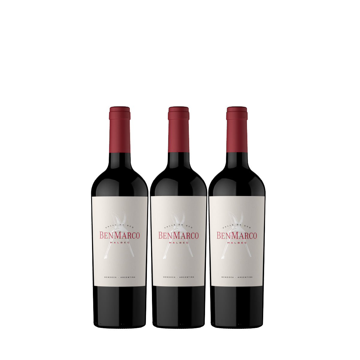 BenMarco Malbec