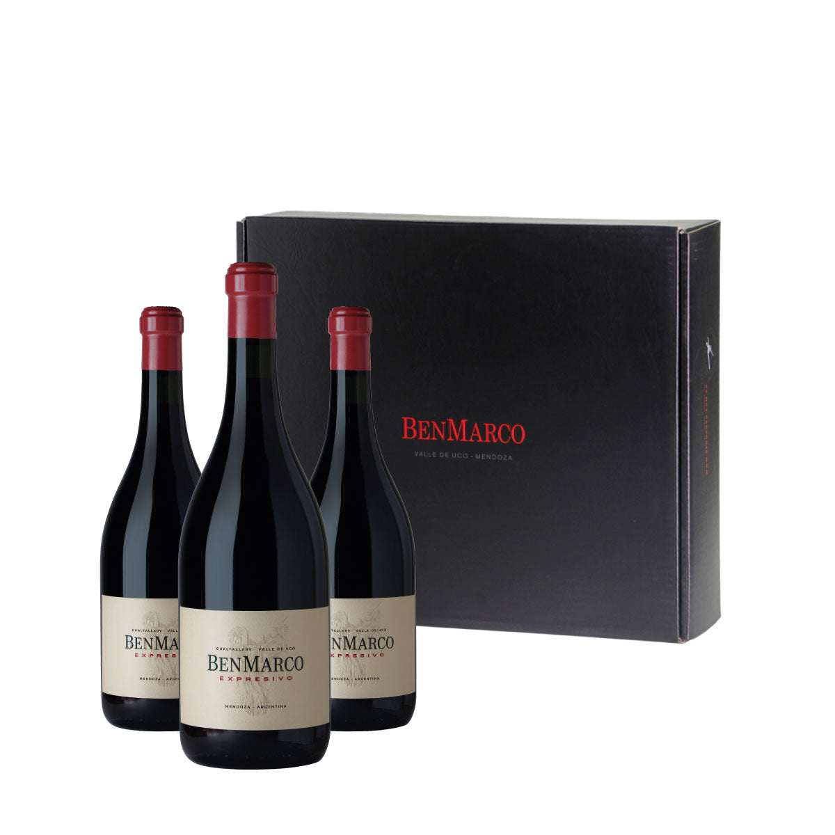 Benmarco Expresivo Gualtallary x 3 + Estuche