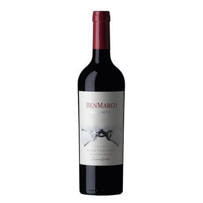 2020 BenMarco S.L. Gualtallary Malbec