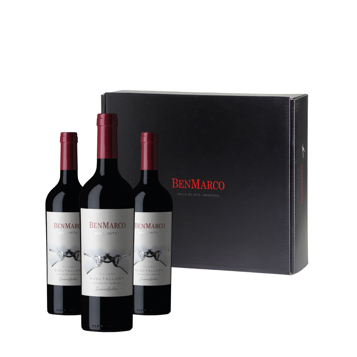 2018 BenMarco Sin Límites Gualtallary Malbec