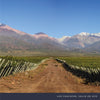 Cargar imagen en el visor de la galería, 2016 Nosotros Single Vineyard Nómade Malbec
