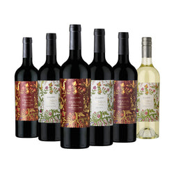 Recomendados Mix Osadía de Crear