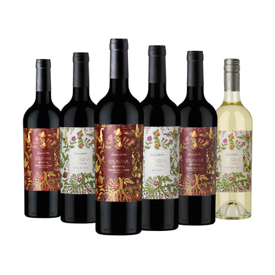 Recomendados Mix Osadía de Crear