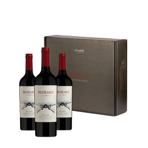 2020 BenMarco Sin Límites Gualtallary Malbec