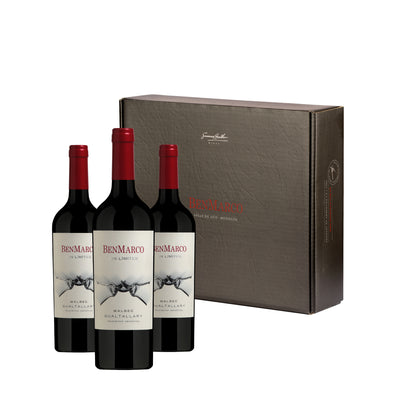 2017 BenMarco Sin Límites Gualtallary Malbec