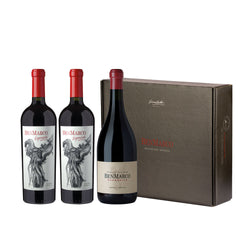 Vertical BenMarco Expresivo Gualtallary 2019-2020-2021